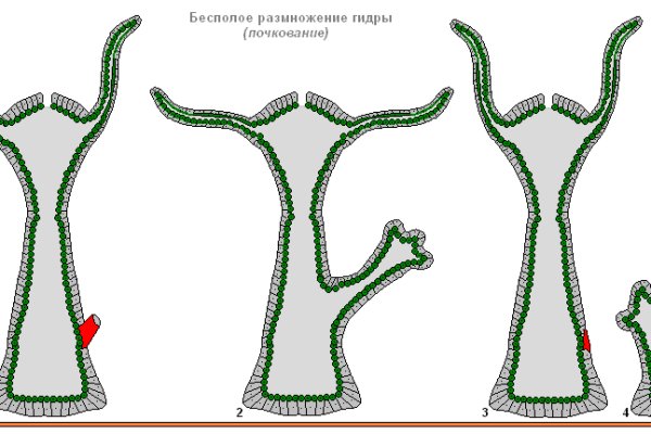 Omg сайт даркнет ссылка